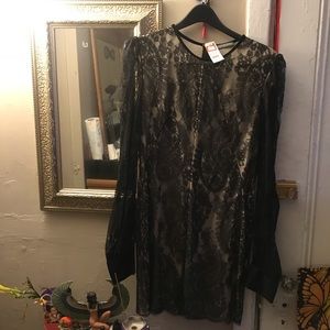 Alexander McQueen Lace Dress